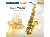 CannWood Saxophone_ _ Professional Class _ CAS_5700GL _